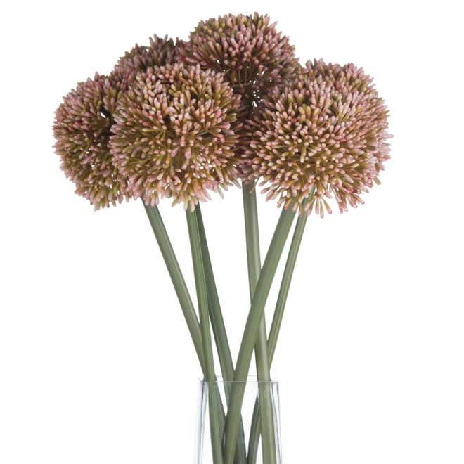 Additional Image for Pink Allium