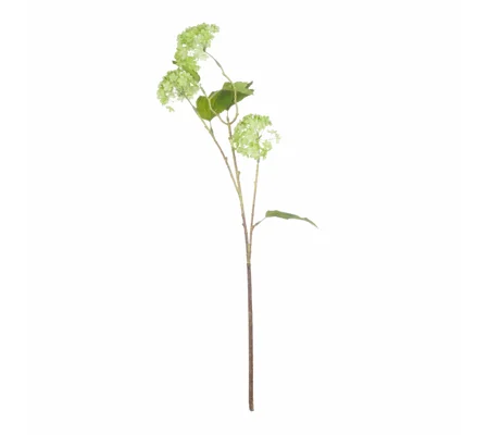 Green Viburnum Spray