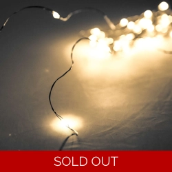 100 LED Battery Micro Lights Silver Wire 10m