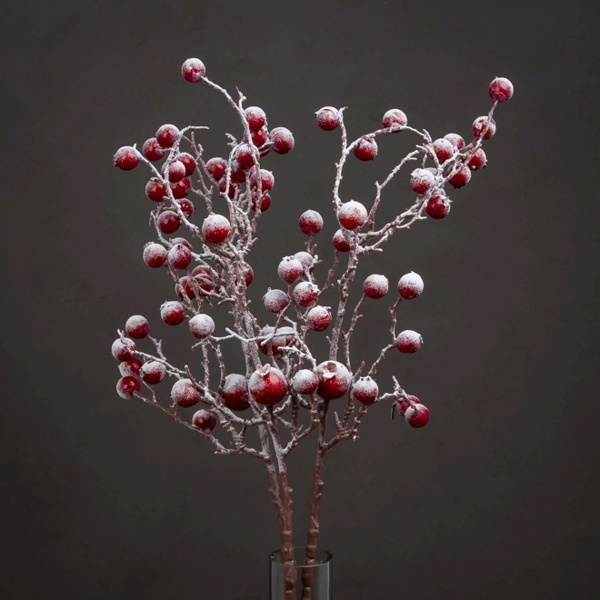 product Image for Large Red Festive Berry
