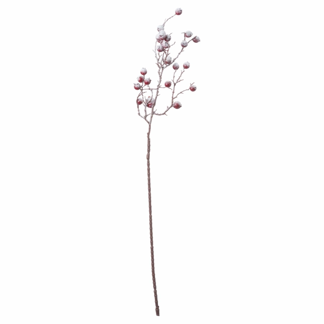 Additional Image for Large Red Festive Berry
