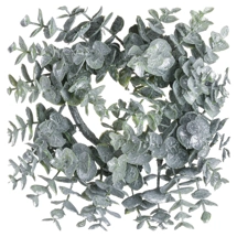 Small Frosted Eucalyptu..
