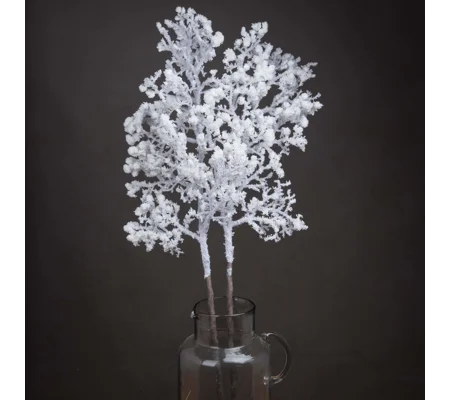 Snowy Branch