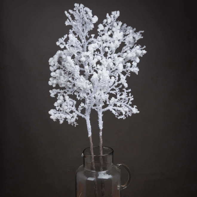 product Image for Snowy Branch