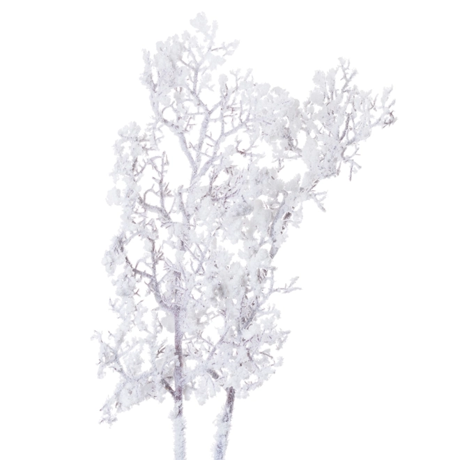 Additional Image for Snowy Branch