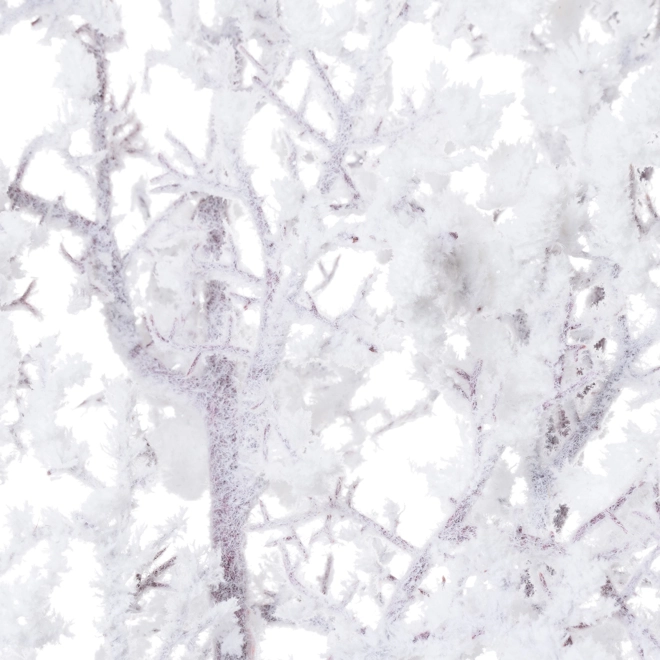Additional Image for Snowy Branch