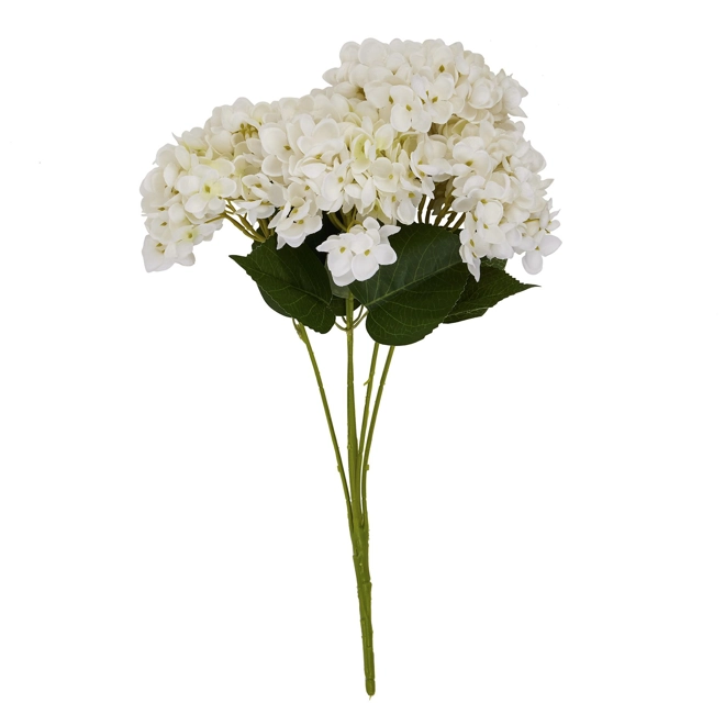 Additional Image for White Hydrangea Bunch