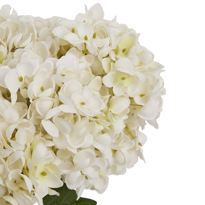 Additional Image for White Hydrangea Bunch