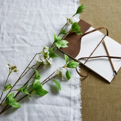 Tall Mock Orange Spray Stem