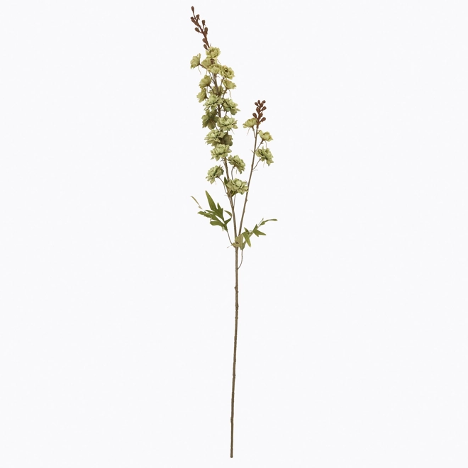 product Image for Tall Green Hops Stem