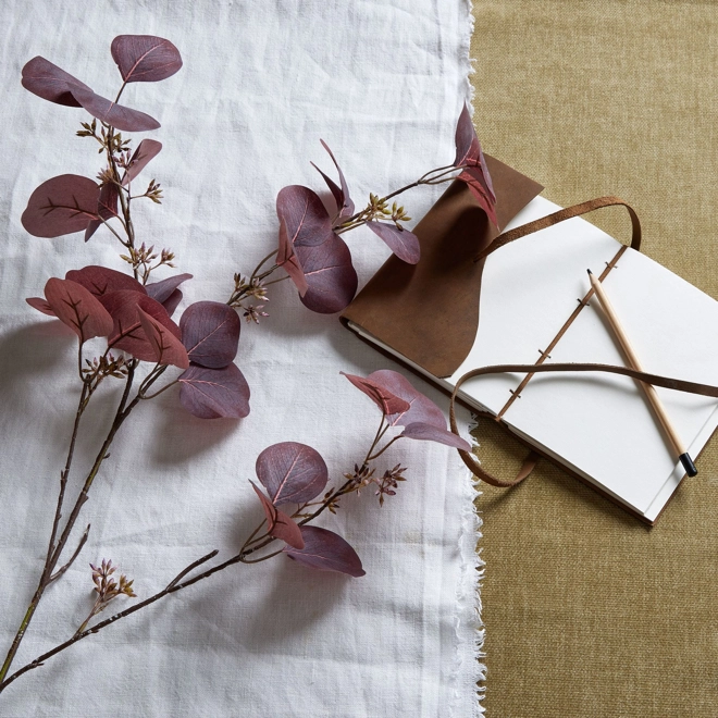 product Image for Burgundy Berried Eucalyptus Stem