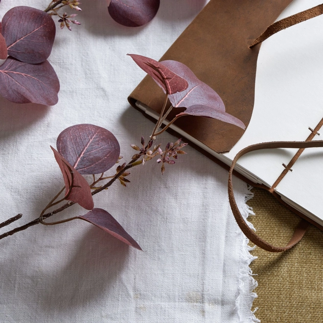 Additional Image for Burgundy Berried Eucalyptus Stem