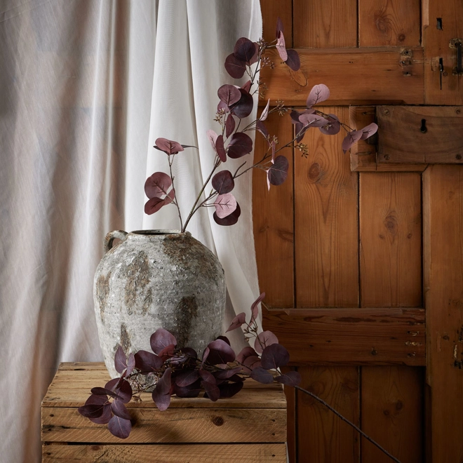 Additional Image for Burgundy Berried Eucalyptus Stem