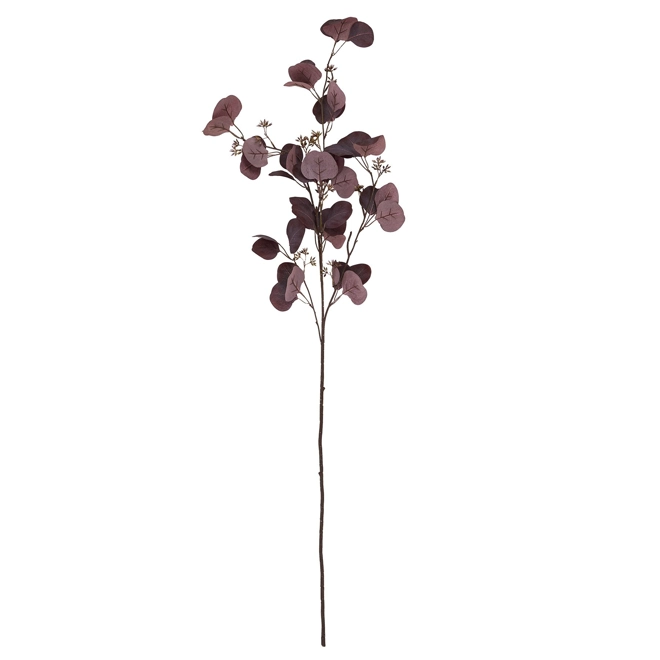 Additional Image for Burgundy Berried Eucalyptus Stem