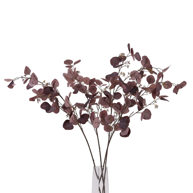 Additional Image for Burgundy Berried Eucalyptus Stem