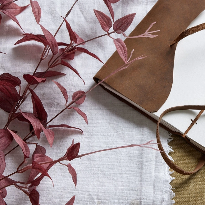 Additional Image for Ornamental Burgundy Leaf stem