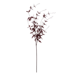 Ornamental Burgundy Leaf stem