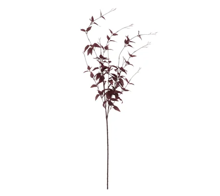 Ornamental Burgundy Leaf stem
