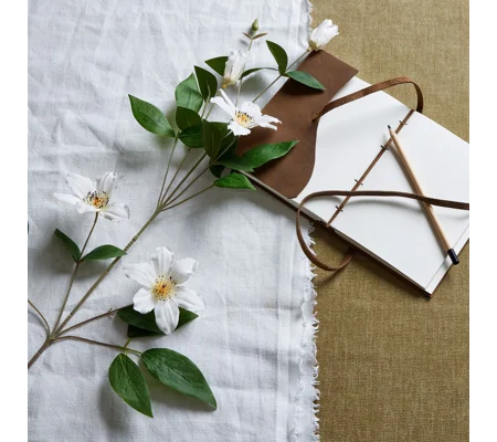White Florida Clematis single stem