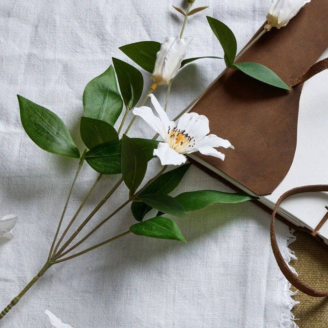 Additional Image for White Florida Clematis single stem