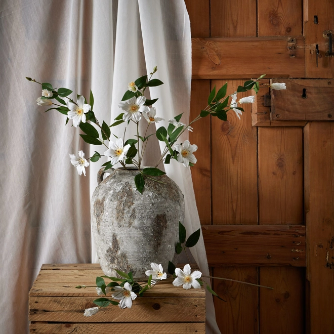 Additional Image for White Florida Clematis single stem