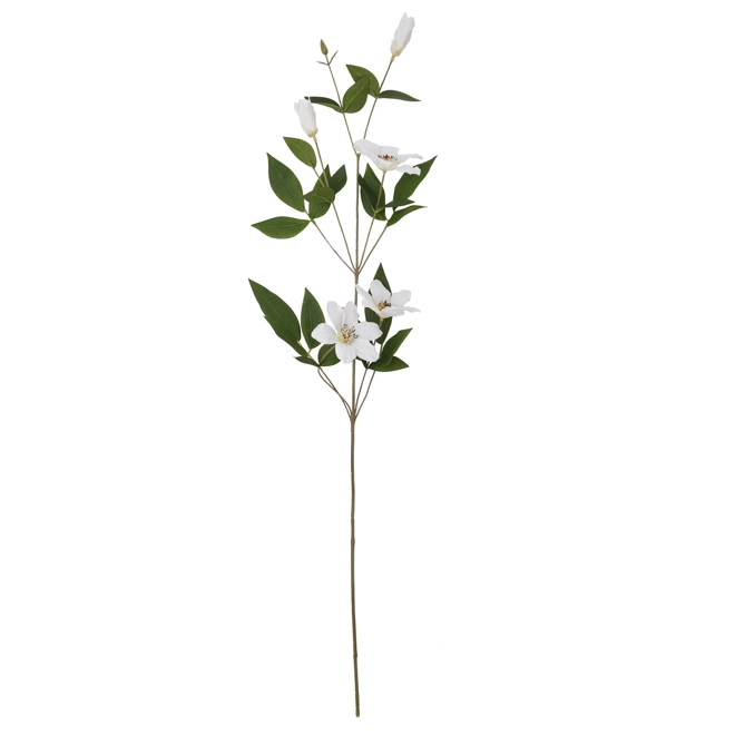 Additional Image for White Florida Clematis single stem