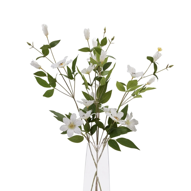 Additional Image for White Florida Clematis single stem