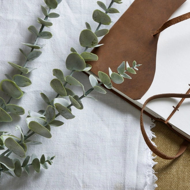 Additional Image for Gunnii Blue Eucalyptus Spray