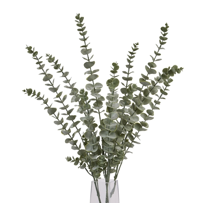 Additional Image for Gunnii Blue Eucalyptus Spray