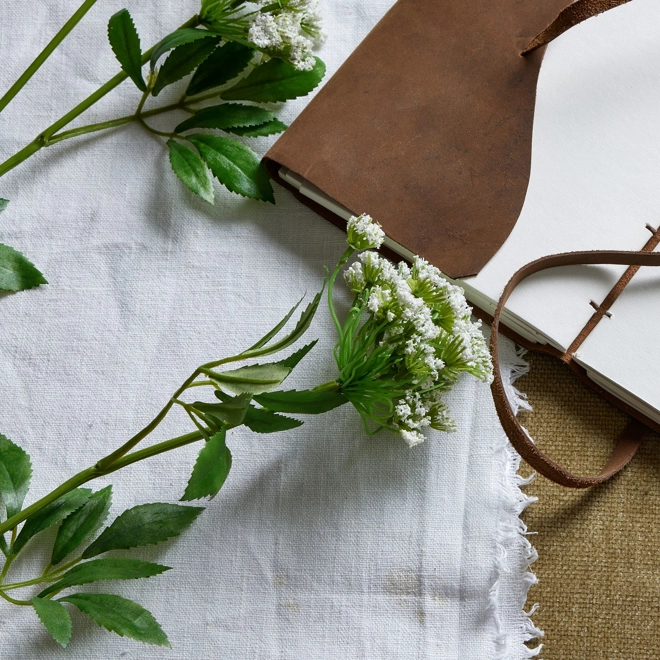 Additional Image for Faux White Cow Parsley Ammi
