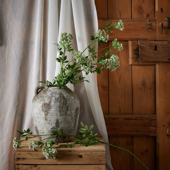 Additional Image for Faux White Cow Parsley Ammi