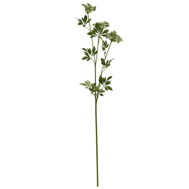 Additional Image for Faux White Cow Parsley Ammi