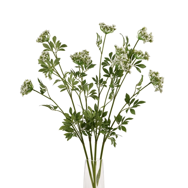Additional Image for Faux White Cow Parsley Ammi
