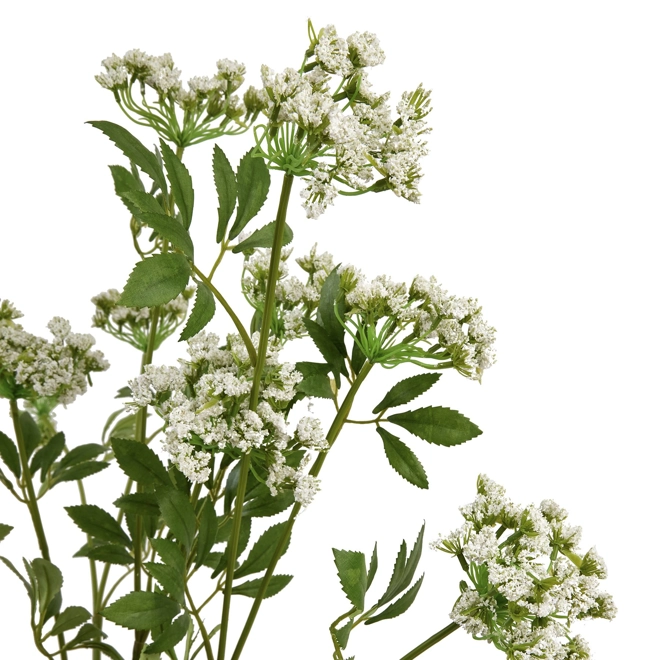 Additional Image for Faux White Cow Parsley Ammi