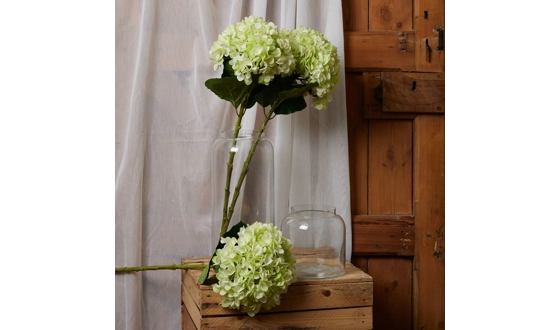 Category Image for Artificial Houseplants & Silk Flowers.