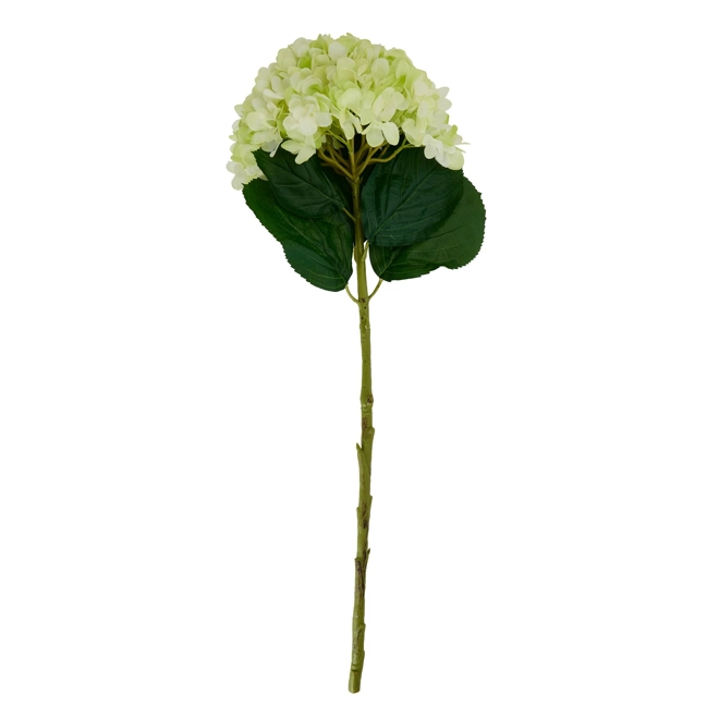 Additional Image for Oversized Green Hydrangea