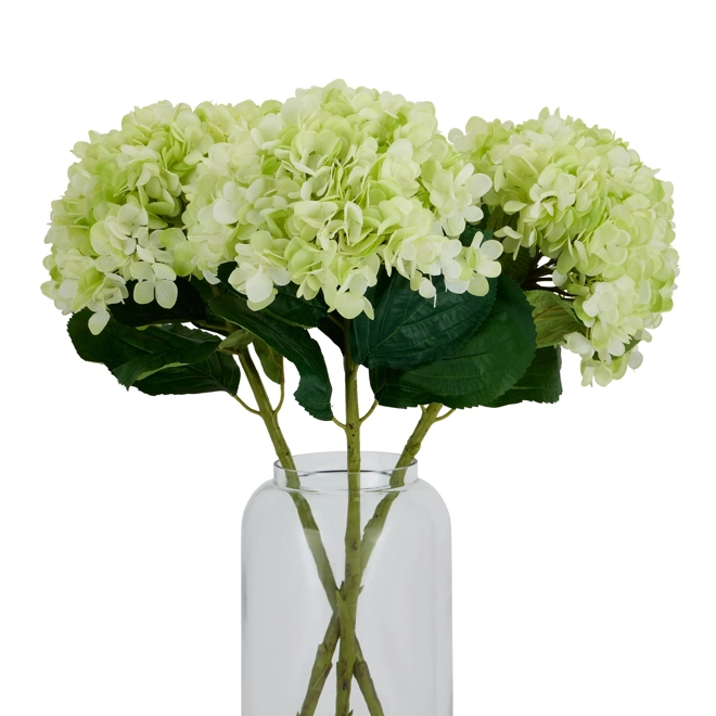 Additional Image for Oversized Green Hydrangea
