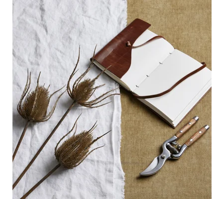 Large Brown Triple Teasle Stem