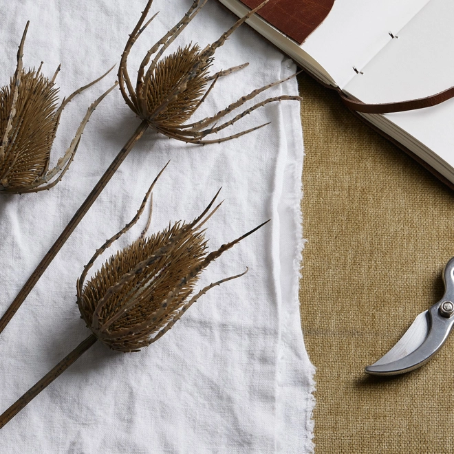 Additional Image for Large Brown Triple Teasle Stem