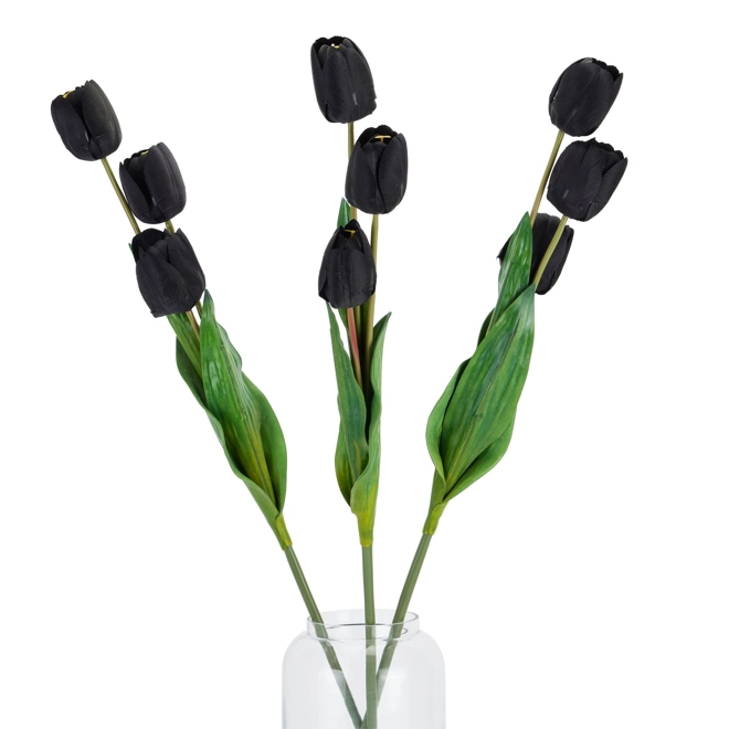 Additional Image for Tall Black Triple Tulip Stem