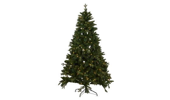 Category Image for christmas trees