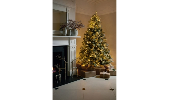 Category Image for christmas