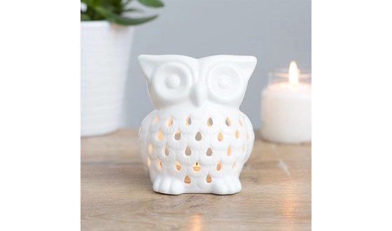 Category Image for oil/wax burners