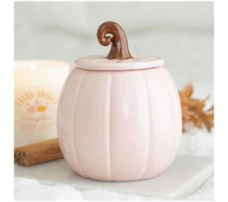 Pink Curly Pumpkin Oil Burner