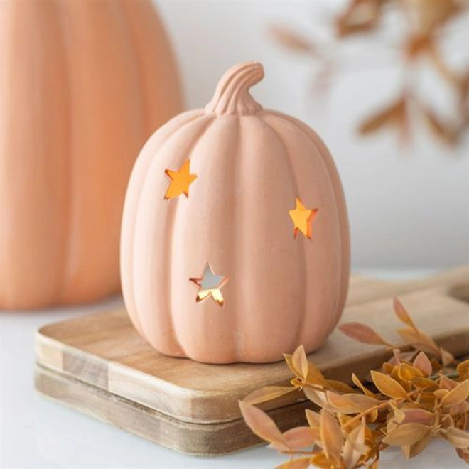 product Image for 9cm Terracotta Pumpkin Tealight Holder
