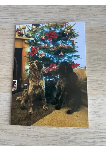 Christmas Card x1 - Design 12