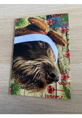 Christmas Card x1 - Des..