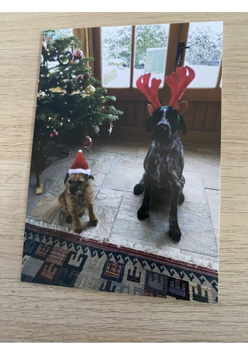 Christmas Card x1 - Design 13