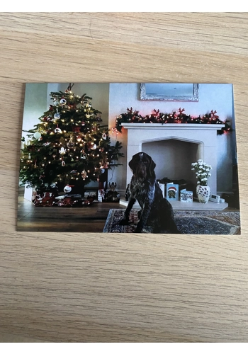 Christmas Card x1 - Design 10