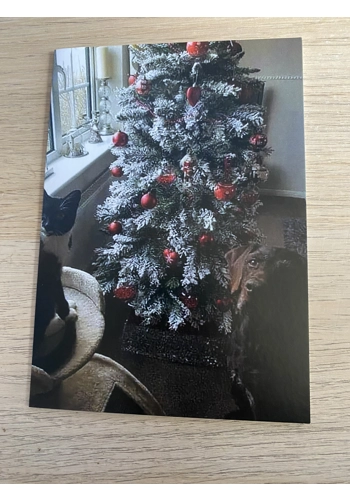 Christmas Card x1 - Design 17